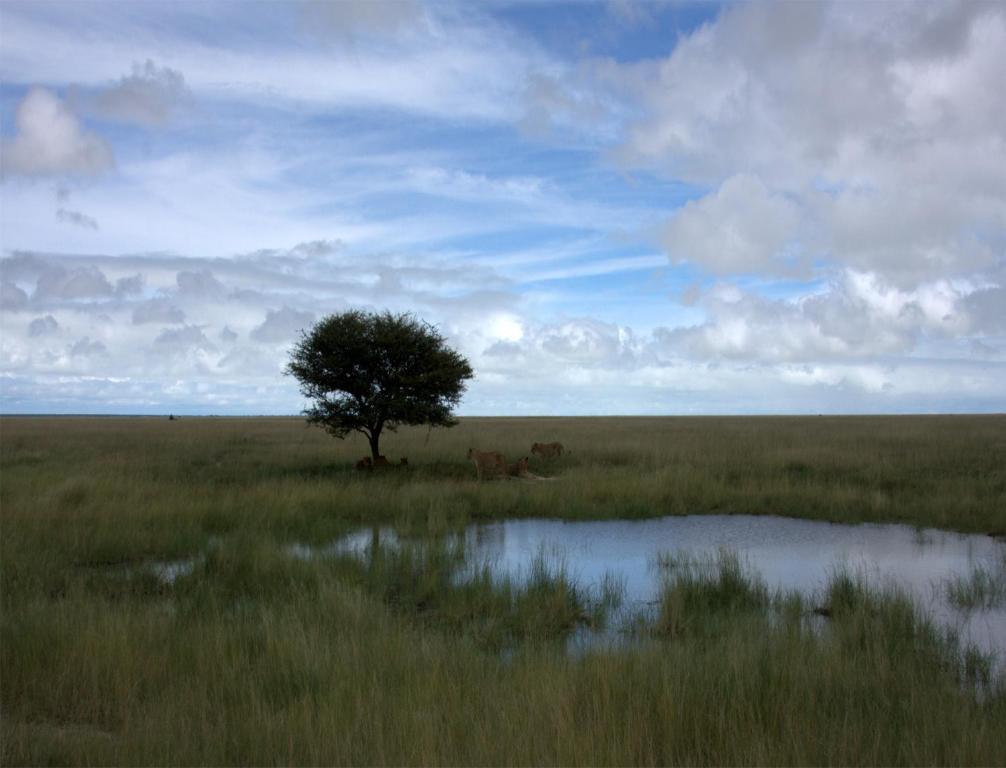 Mokuti Etosha Βίλα Namutoni Εξωτερικό φωτογραφία