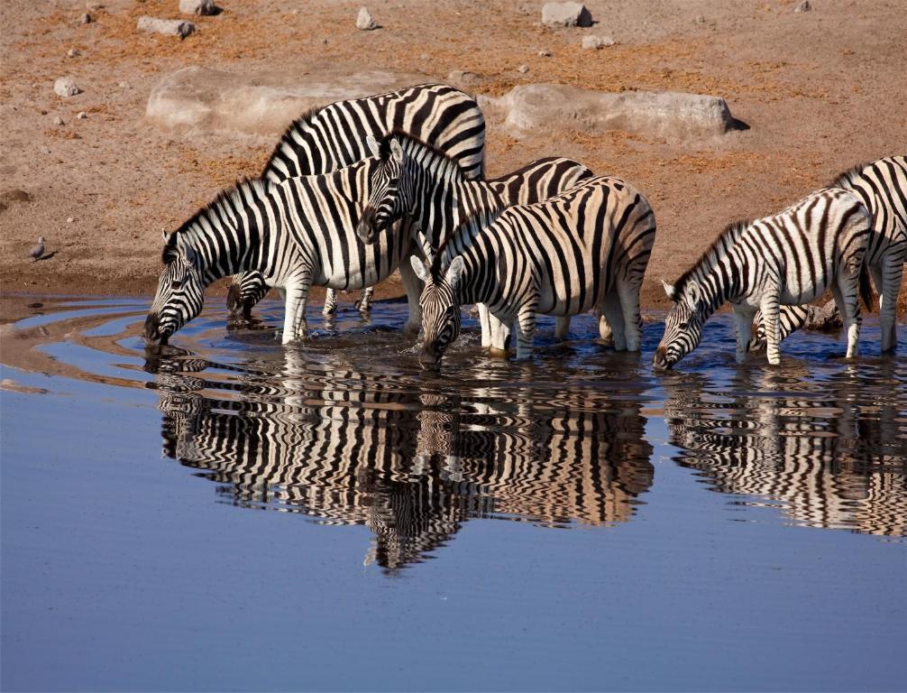 Mokuti Etosha Βίλα Namutoni Εξωτερικό φωτογραφία